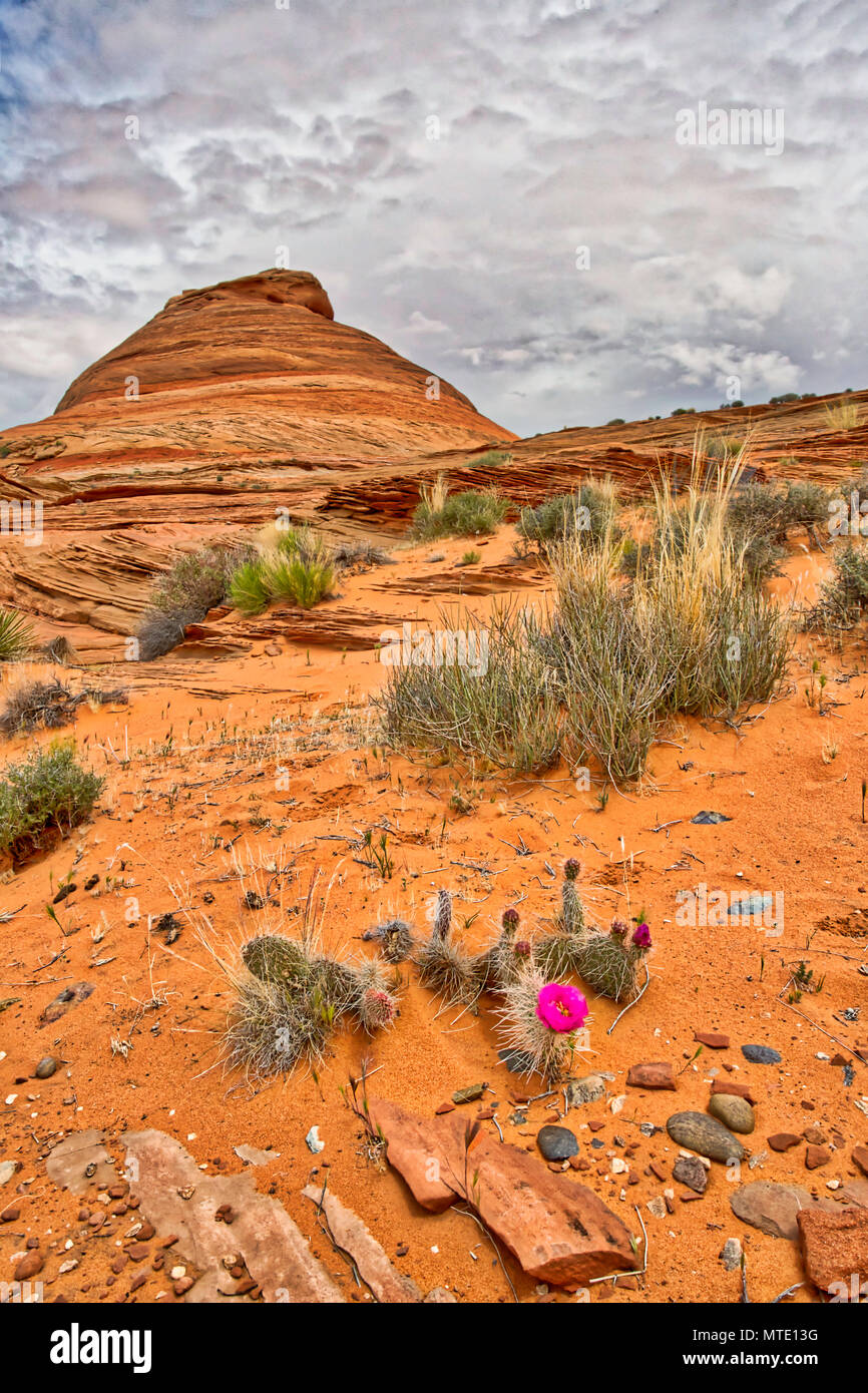 Rain erosion hi-res stock photography and images - Alamy