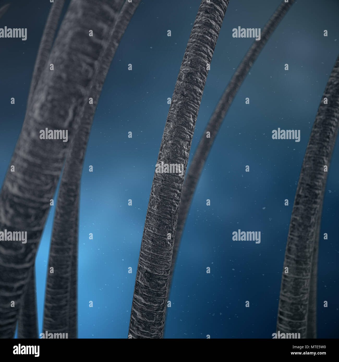 Gold hair follicle hires stock photography and images Alamy