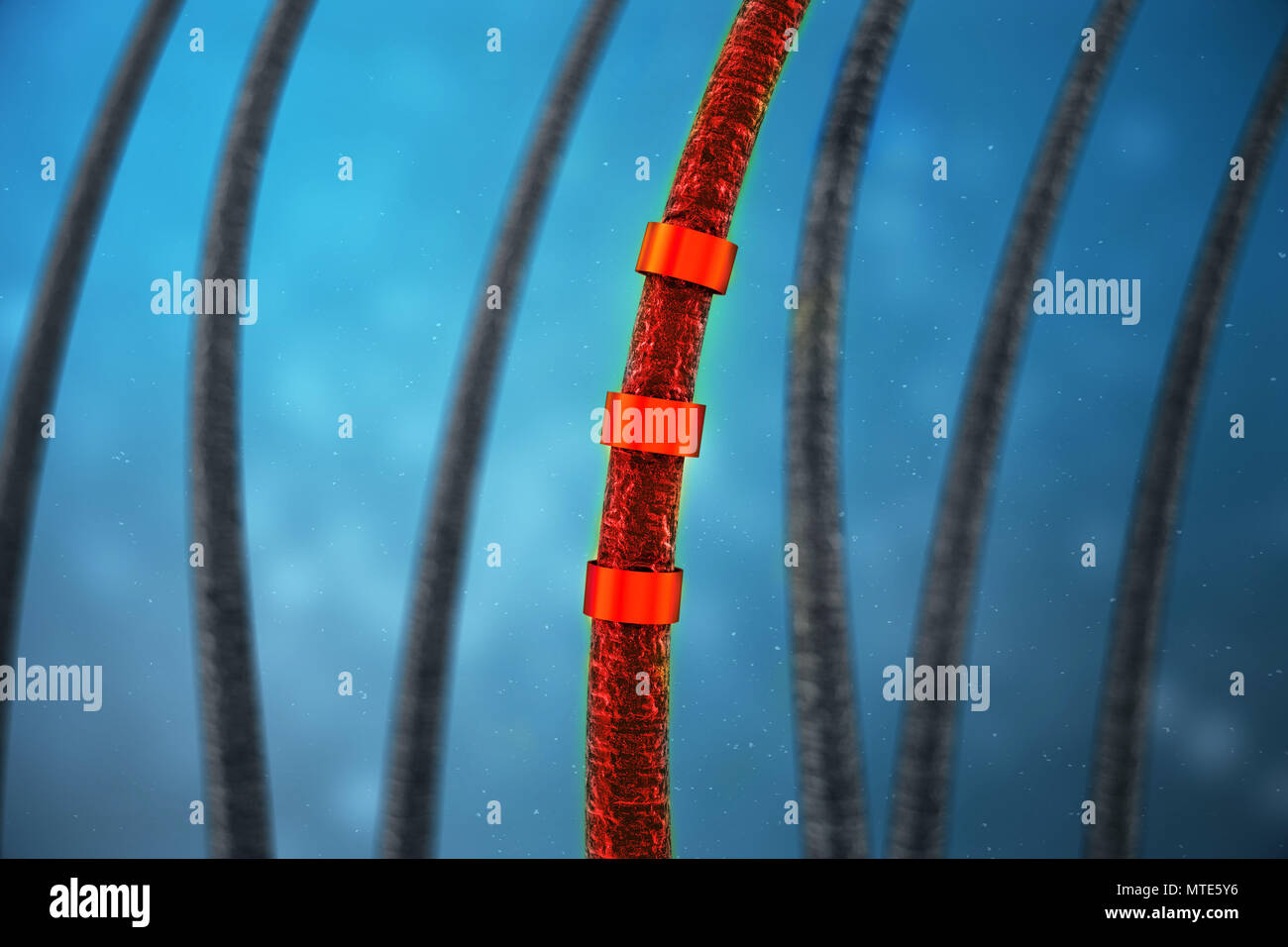 Page 3 Root Hair Cell High Resolution Stock Photography And Images Alamy Page 3 Root Hair Cell High Resolution Stock Photography And Images Alamy