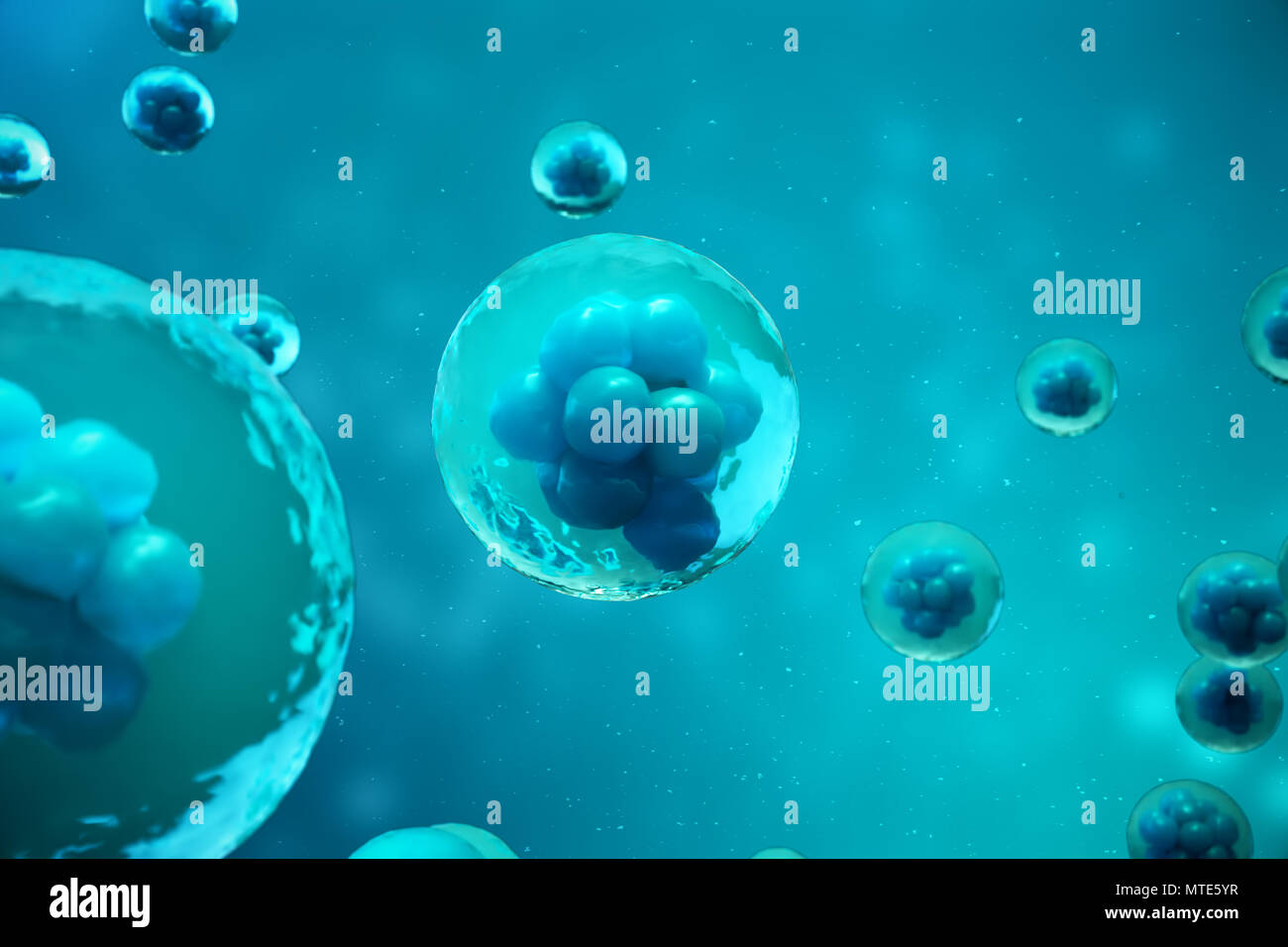 3D Rendering human or animal cells on blue background. Concept Early ...