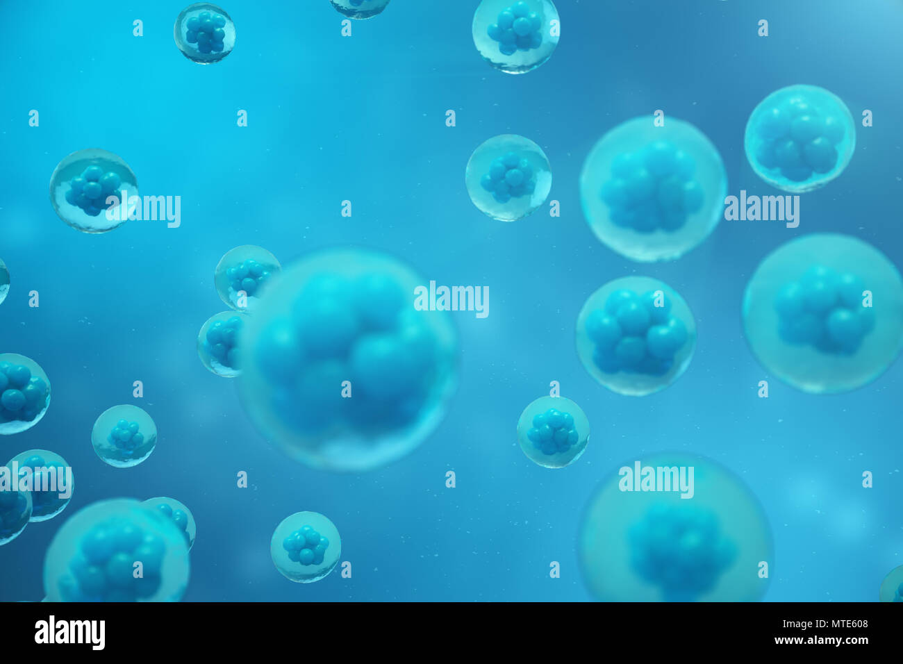 3D Rendering human or animal cells on blue background. Concept Early ...