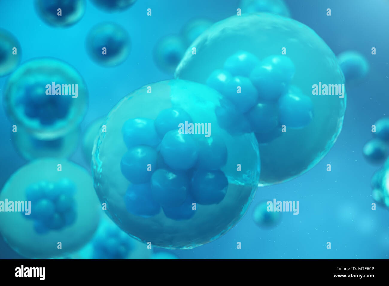 3D Rendering human or animal cells on blue background. Concept Early ...
