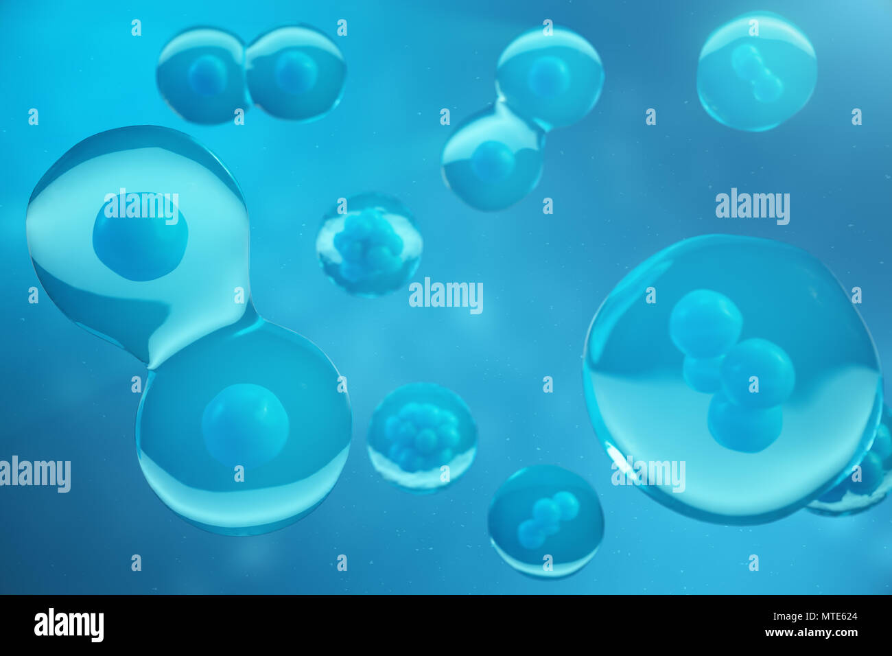3D Rendering human or animal cells on blue background. Concept Early ...