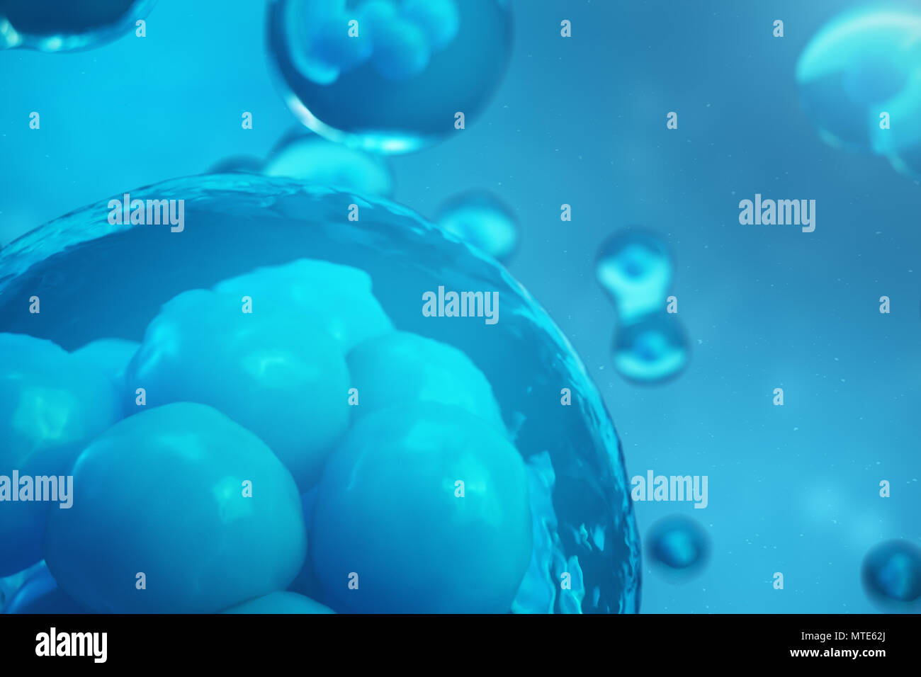 3D Rendering human or animal cells on blue background. Concept Early ...