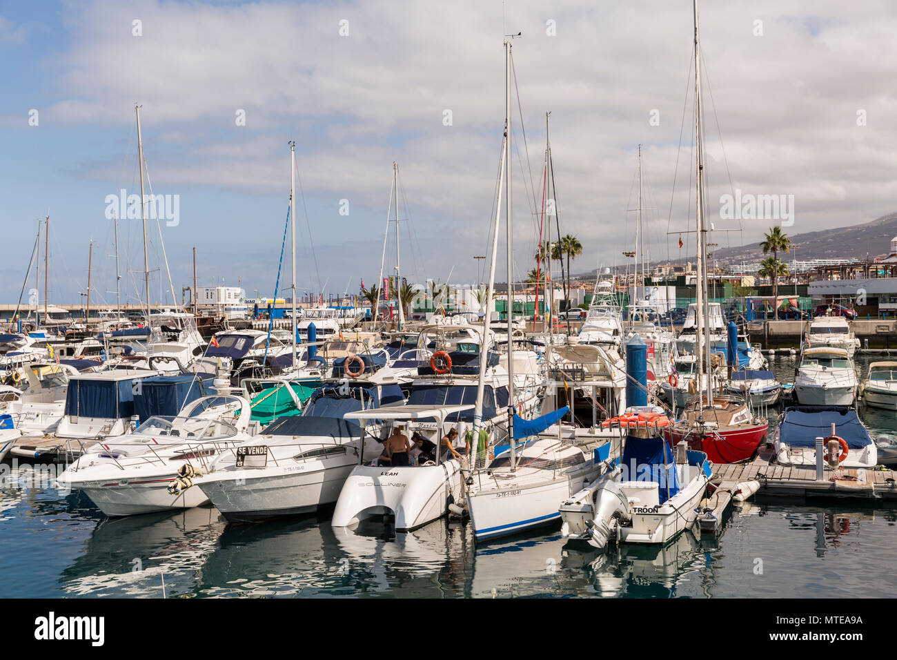 Boats and moorings in the Puerto Colon marina, Playa de Las Americas ...