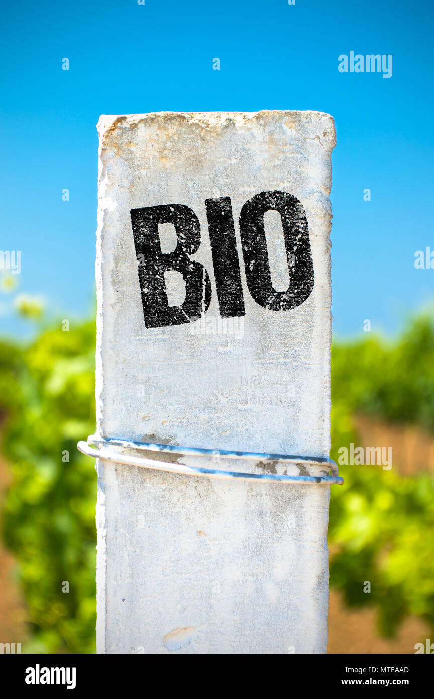 Bio - Ecological Concept.  Stock Photo