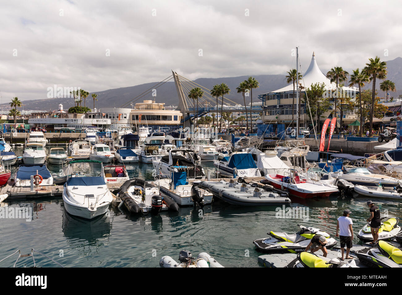 Boats and moorings in the Puerto Colon marina, Playa de Las Americas, Tenerife, Canary Islands