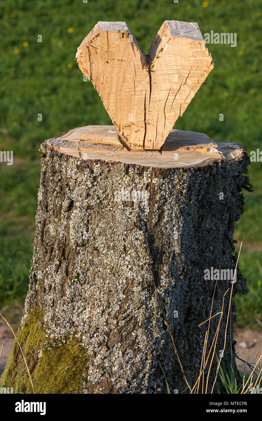 Heart carved from a tree trunk, Bavaria, Germany Stock Photo