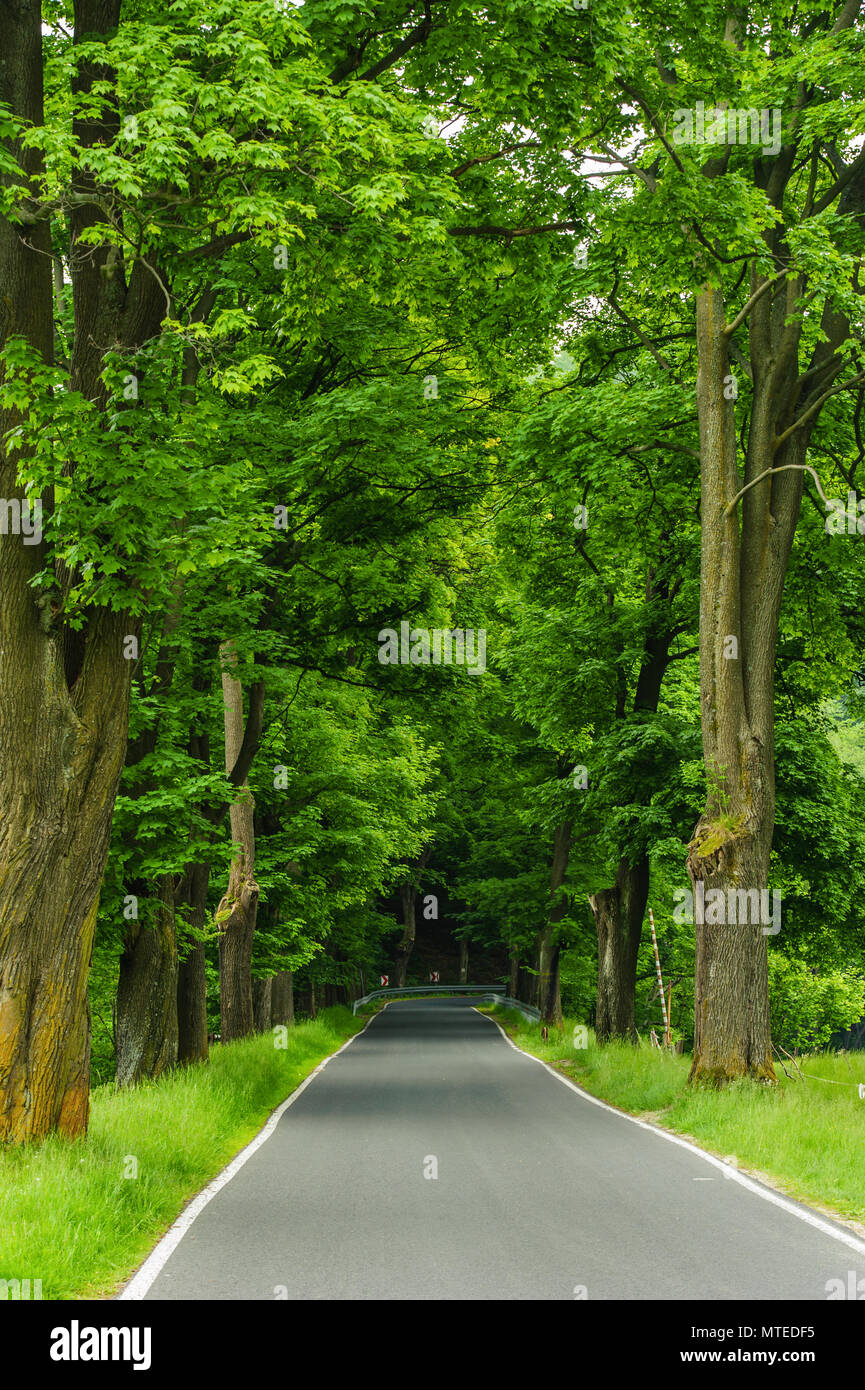 Vertical frame beautiful view hi res stock photography and images Alamy Vertical frame beautiful view hi res stock photography and images Alamy