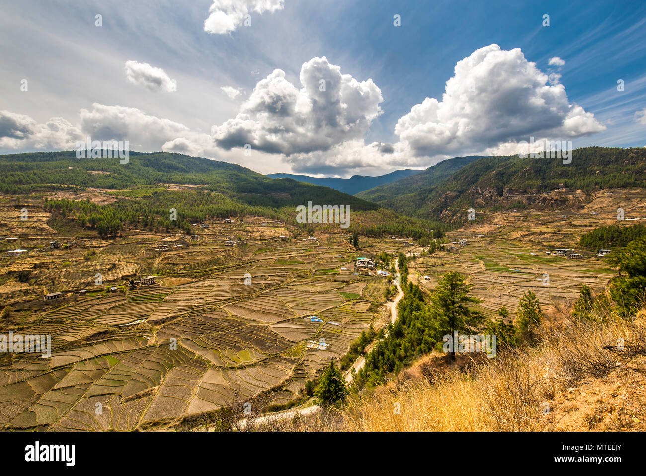 Terraced cultivation, landscape with rice fields, cloudy atmosphere, Paro district, Himalayan region, Kingdom of Bhutan Stock Photo