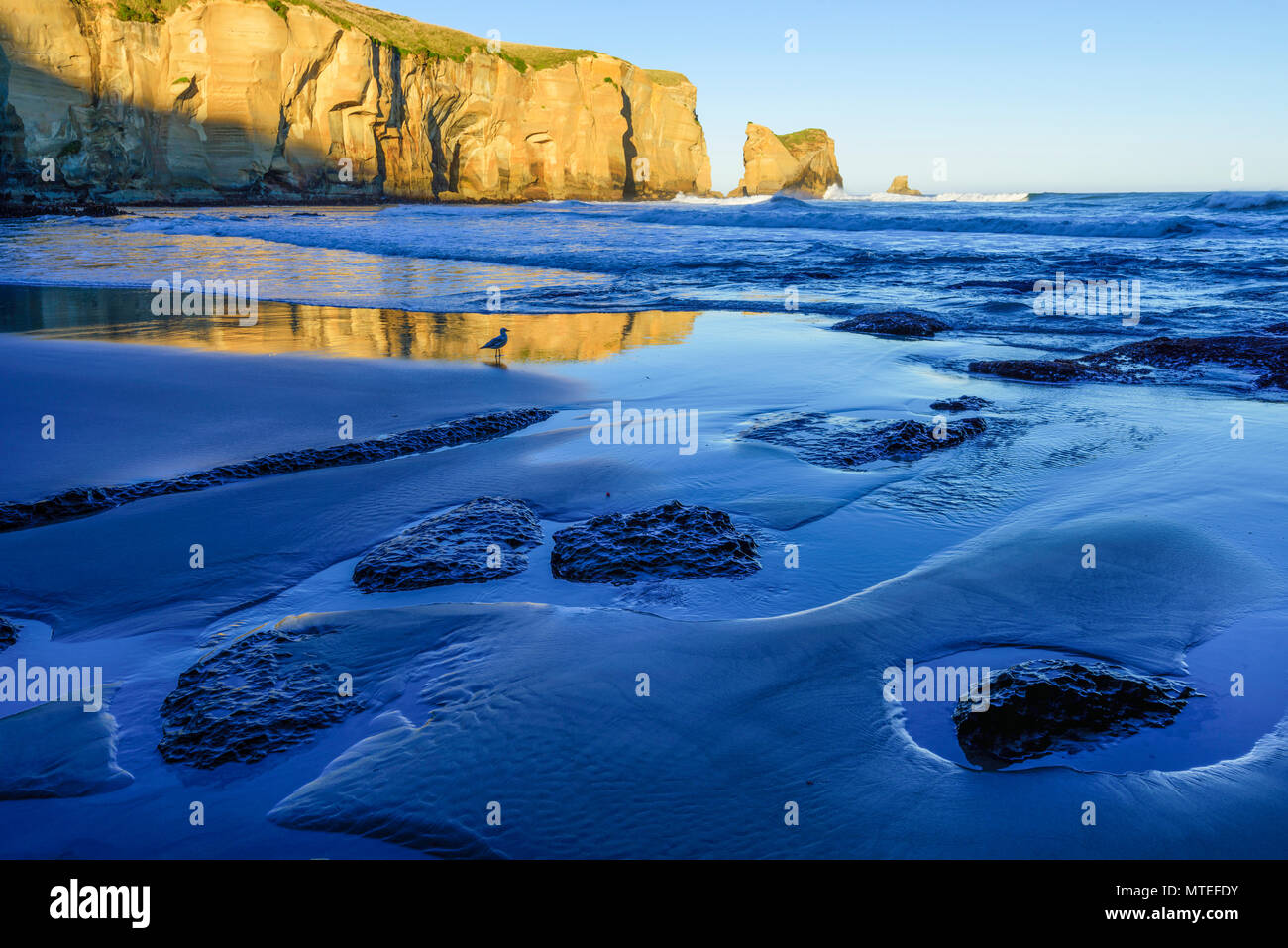 Oceania, New Zealand, Aotearoa, South Island, Dunedin, Tunnel Beach