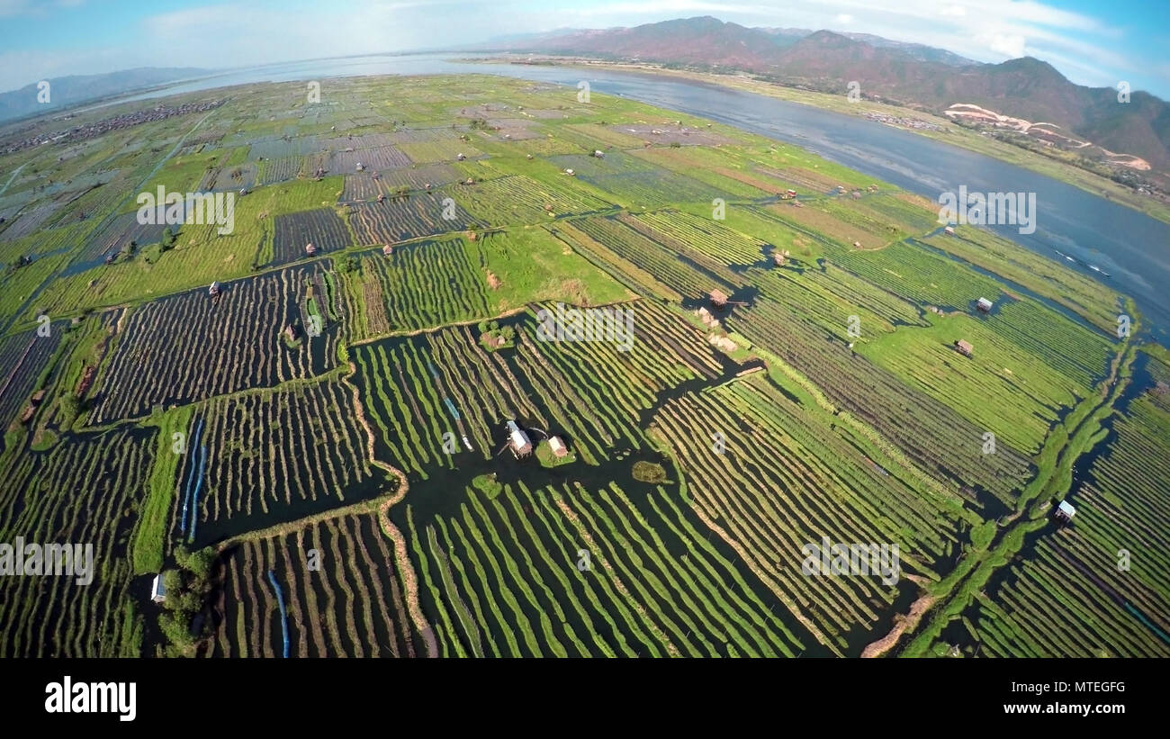 Aerial photo of floating gardens on Inle Lake Stock Photo Alamy