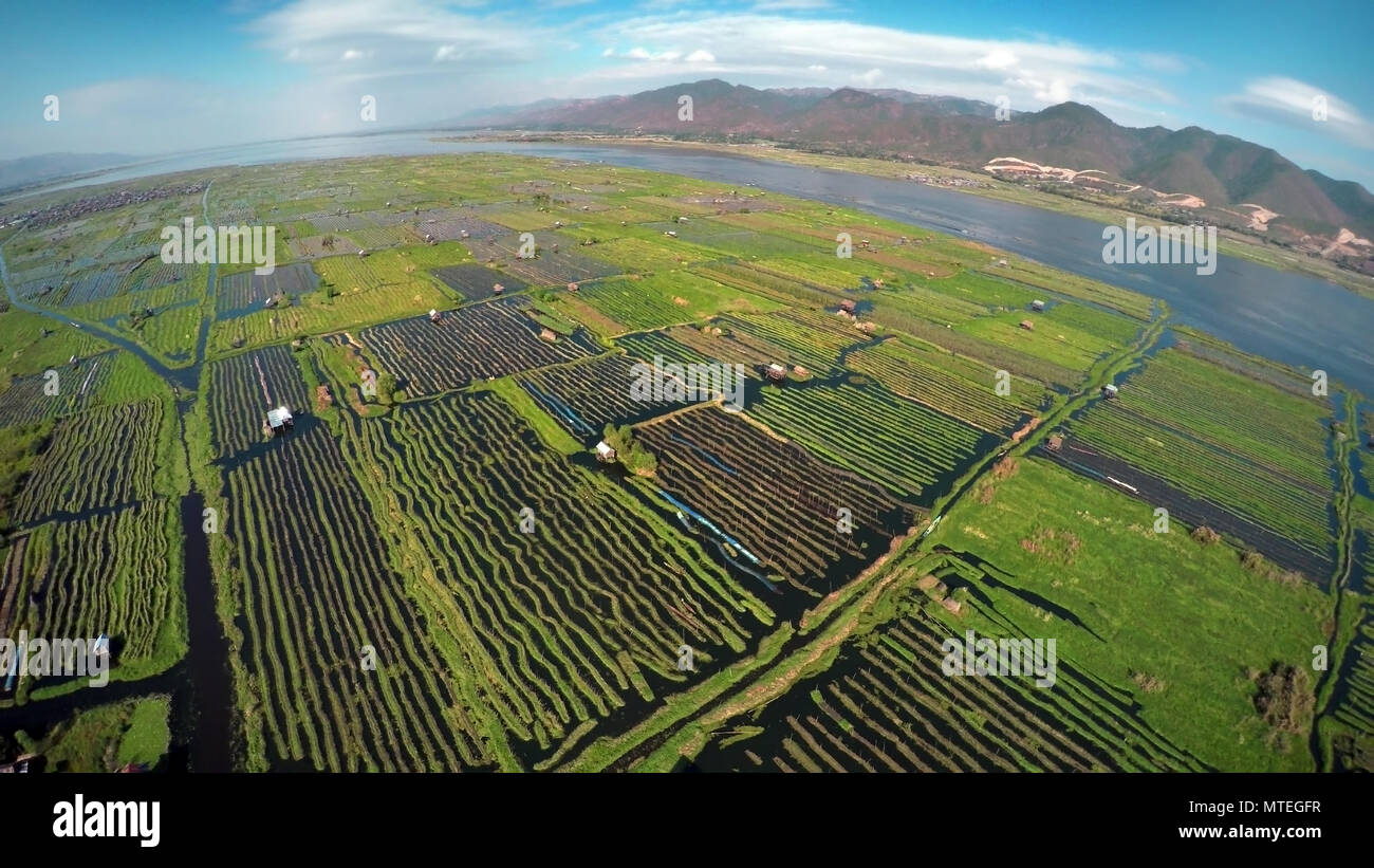 Aerial photo of floating gardens on Inle Lake Stock Photo Alamy