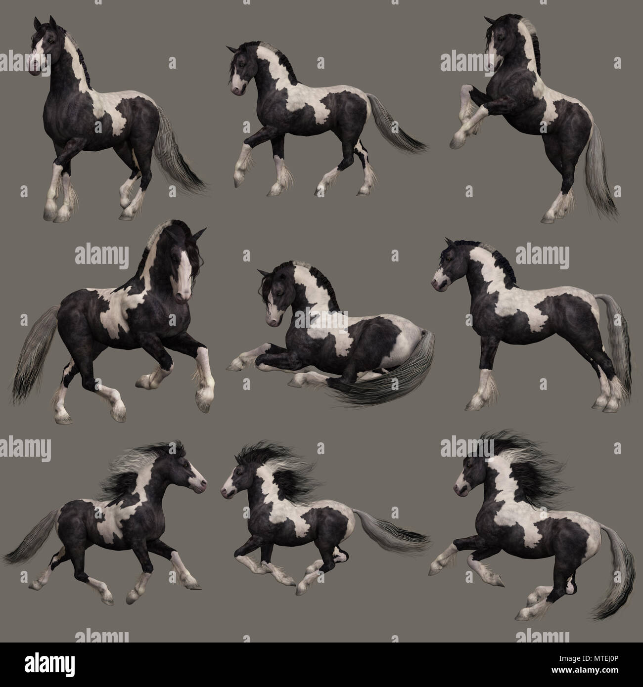ArtStation - 11 horse poses