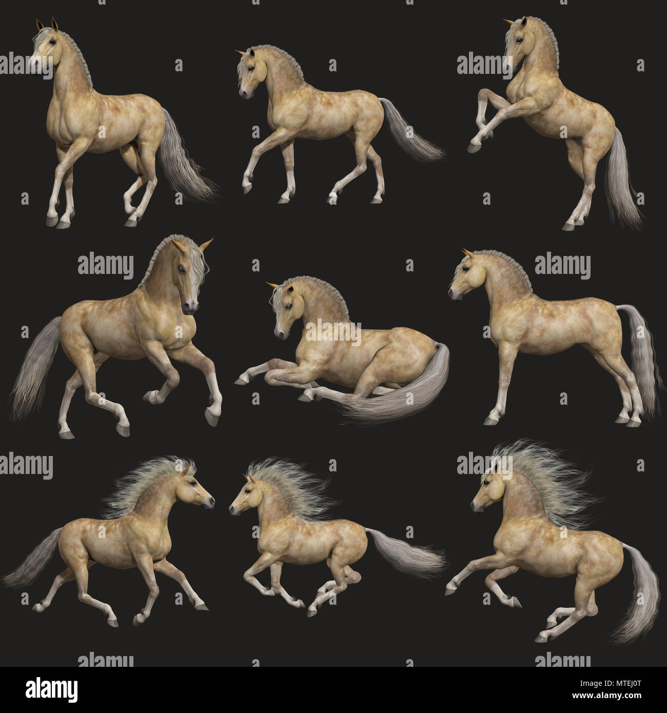 3d computer graphics of nine poses of a Buttermilk horse Stock Photo - Alamy