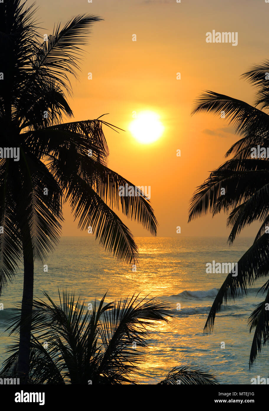 Palms sun tropical sunset hi-res stock photography and images - Alamy