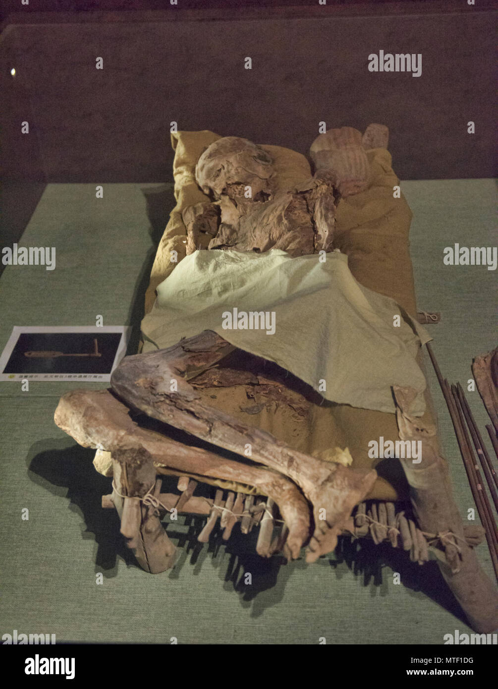 Tarim mummy hi-res stock photography and images - Alamy, image size:1005x1390