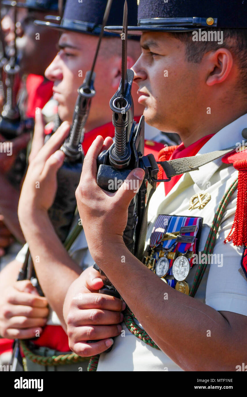 68th Regiment Of Africa Artillery High Resolution Stock Photography and ...