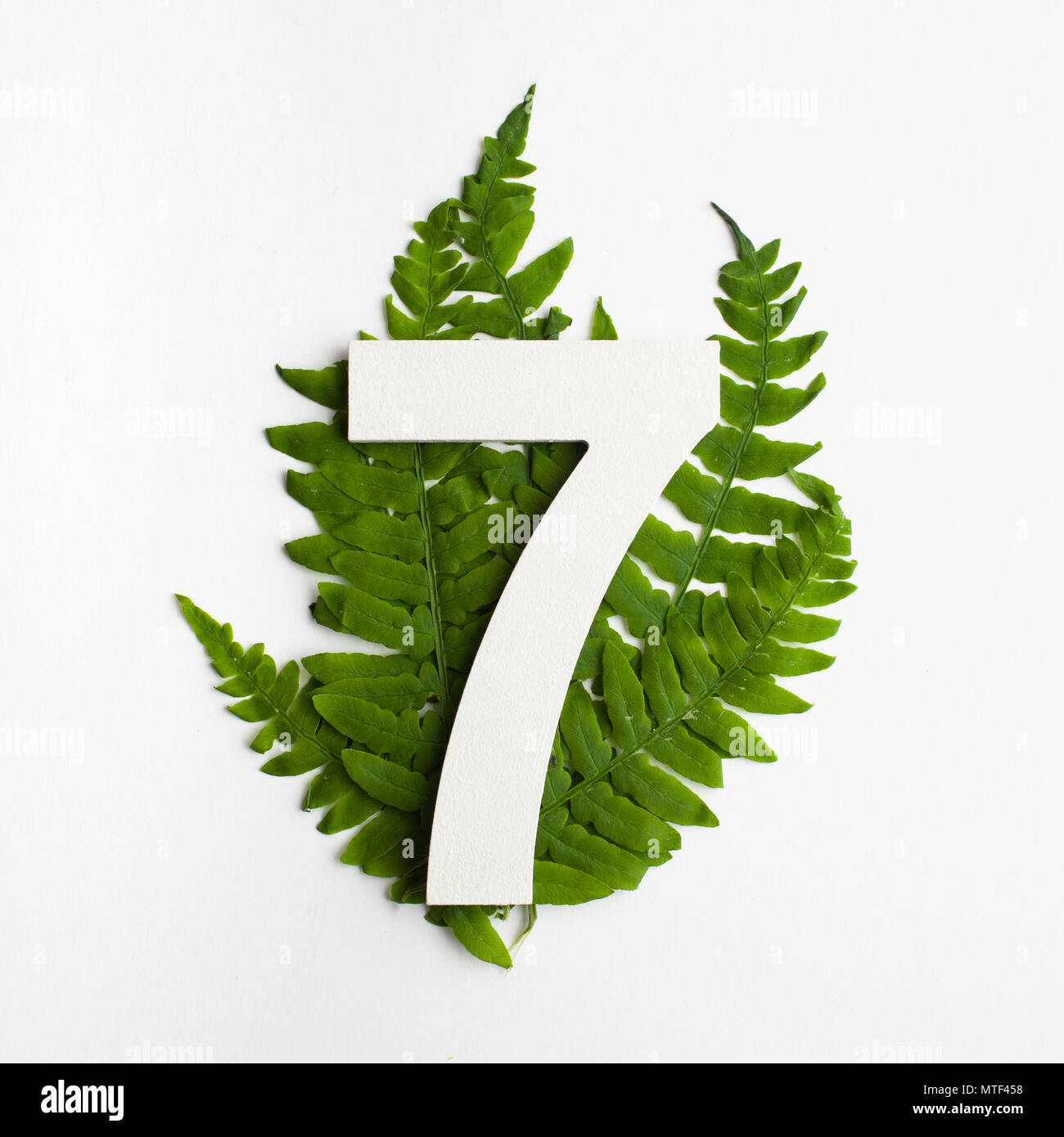 Number Leaf Green Leaves Garden High Resolution Stock Photography and ...