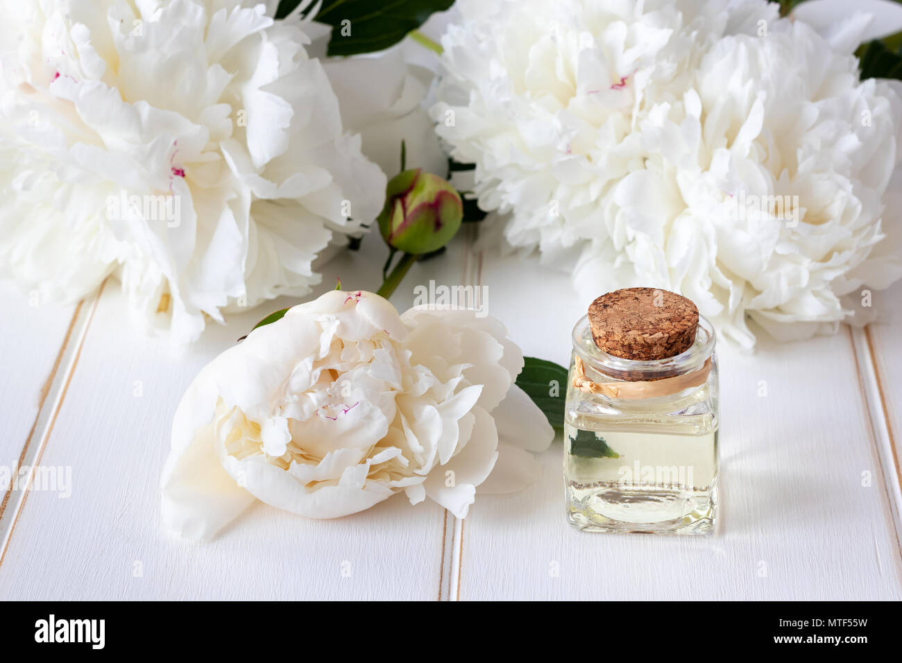 A bottle of essential oil with fresh white peony flowers in the background  Stock Photo - Alamy