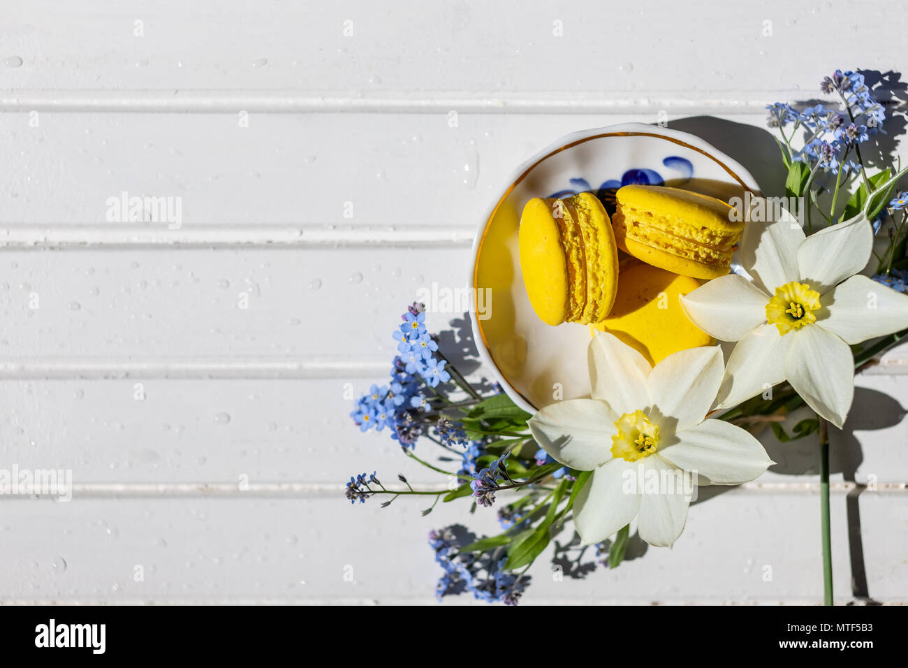 Colorful macaroons and flowers on white wooden table. Sweet macarons. Top view with copy space for your text.Tasty dessert flat lay and daffodils and forget-me-not flowers. Stock Photo