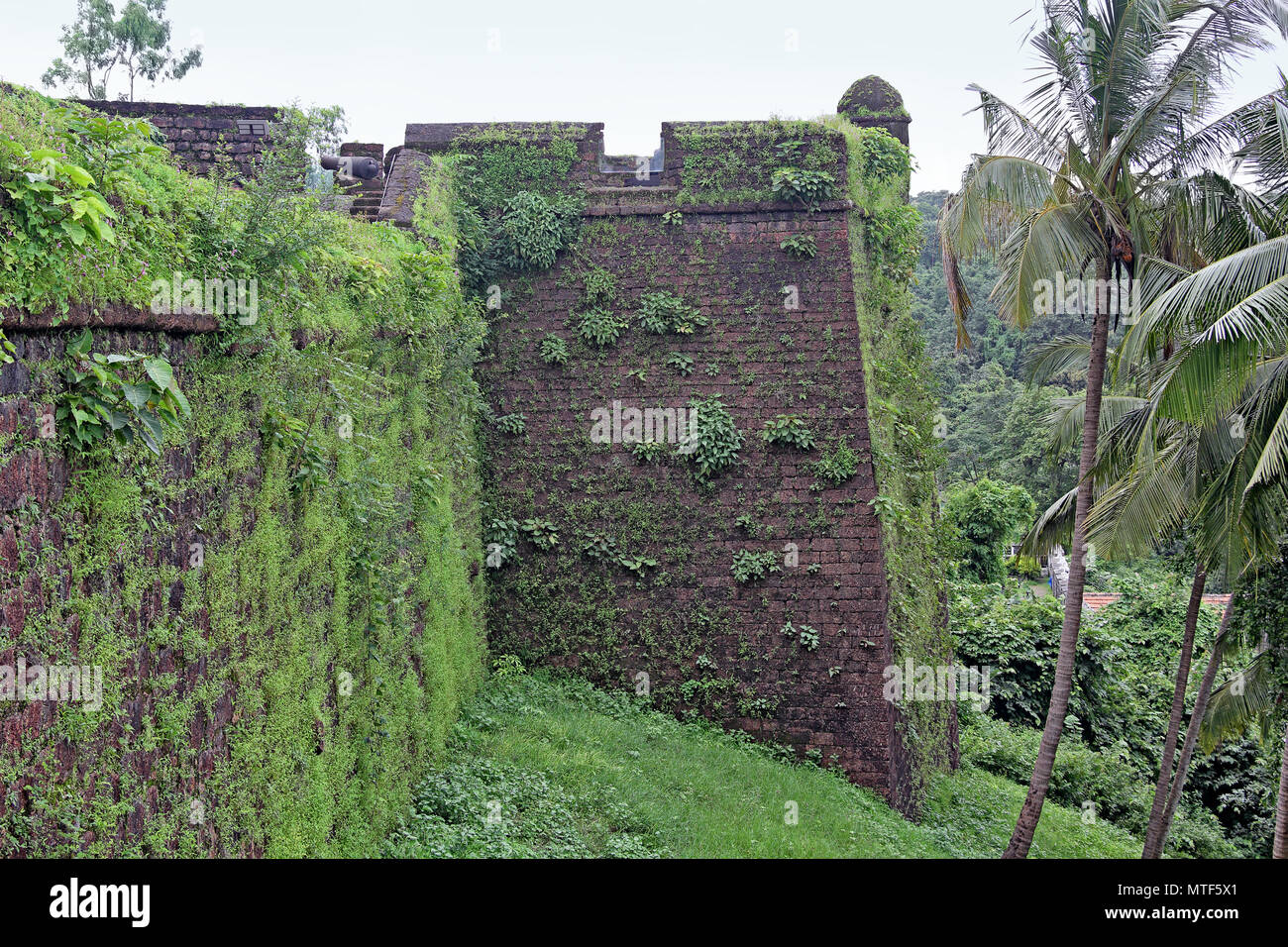 Turret and outer wall made of laterite stone bricks, with grass and shrub growth, of Portuguese era Reis Magos Fort in Goa, India. Stock Photo