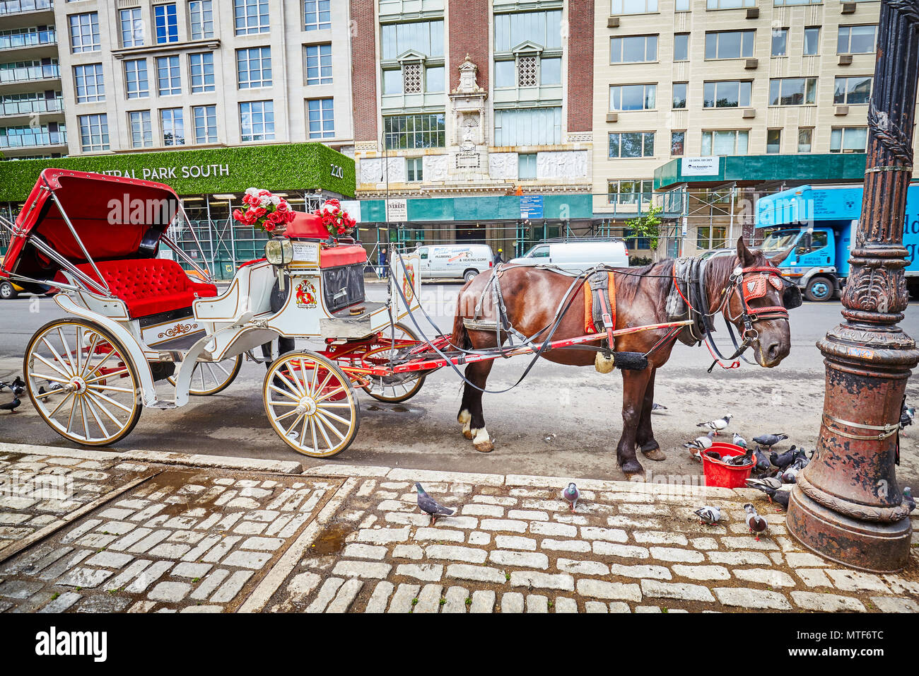 New York City, USA - May 26, 2017: Horse carriage by the Central Park. It is one of the best ways for tourists to enjoy the beauty of the park. Stock Photo