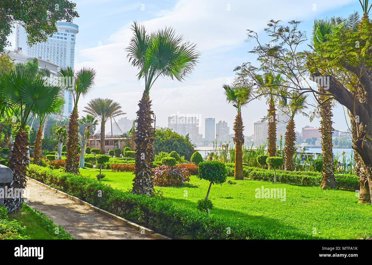 The cozy green ornamental garden with tall palm trees on the Nile river