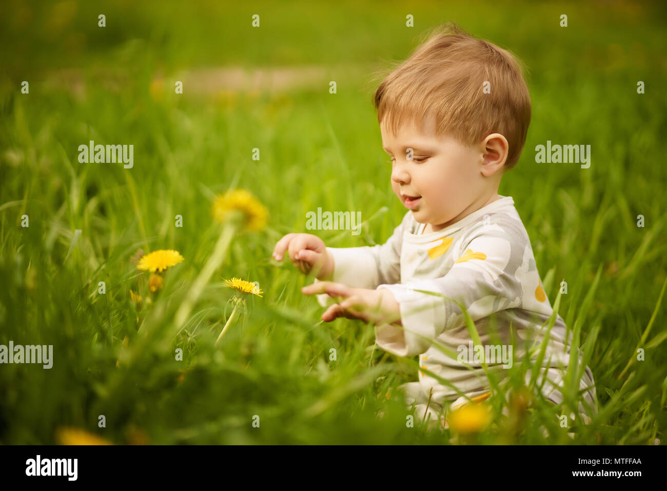 Concept: family values. Portrait of adorable innocent funny brown-eyed baby playing outdoor in the sunny dandelions field. Stock Photo