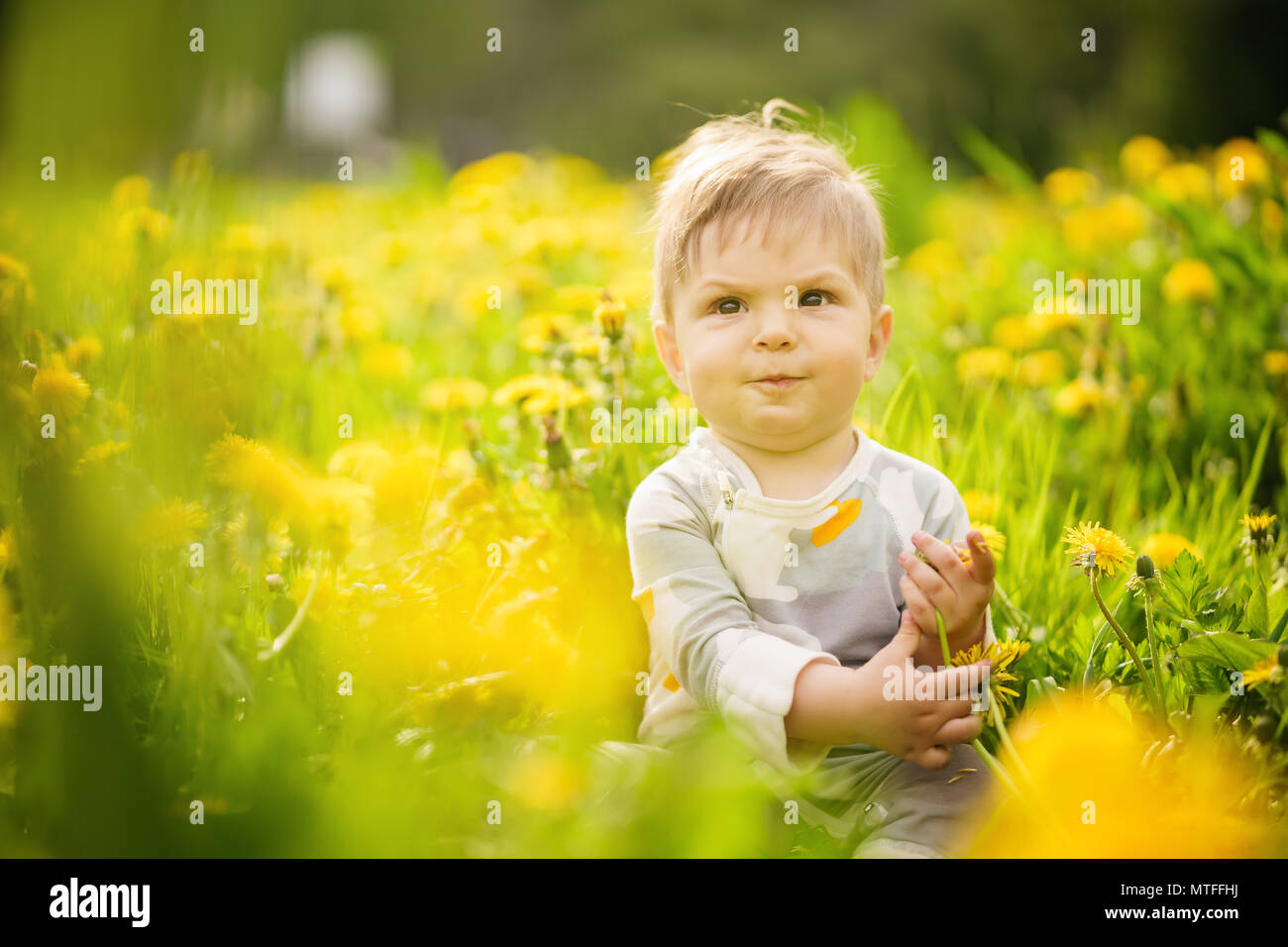 Concept: family values. Portrait of adorable innocent funny brown-eyed baby playing outdoor in the sunny dandelions field. Stock Photo