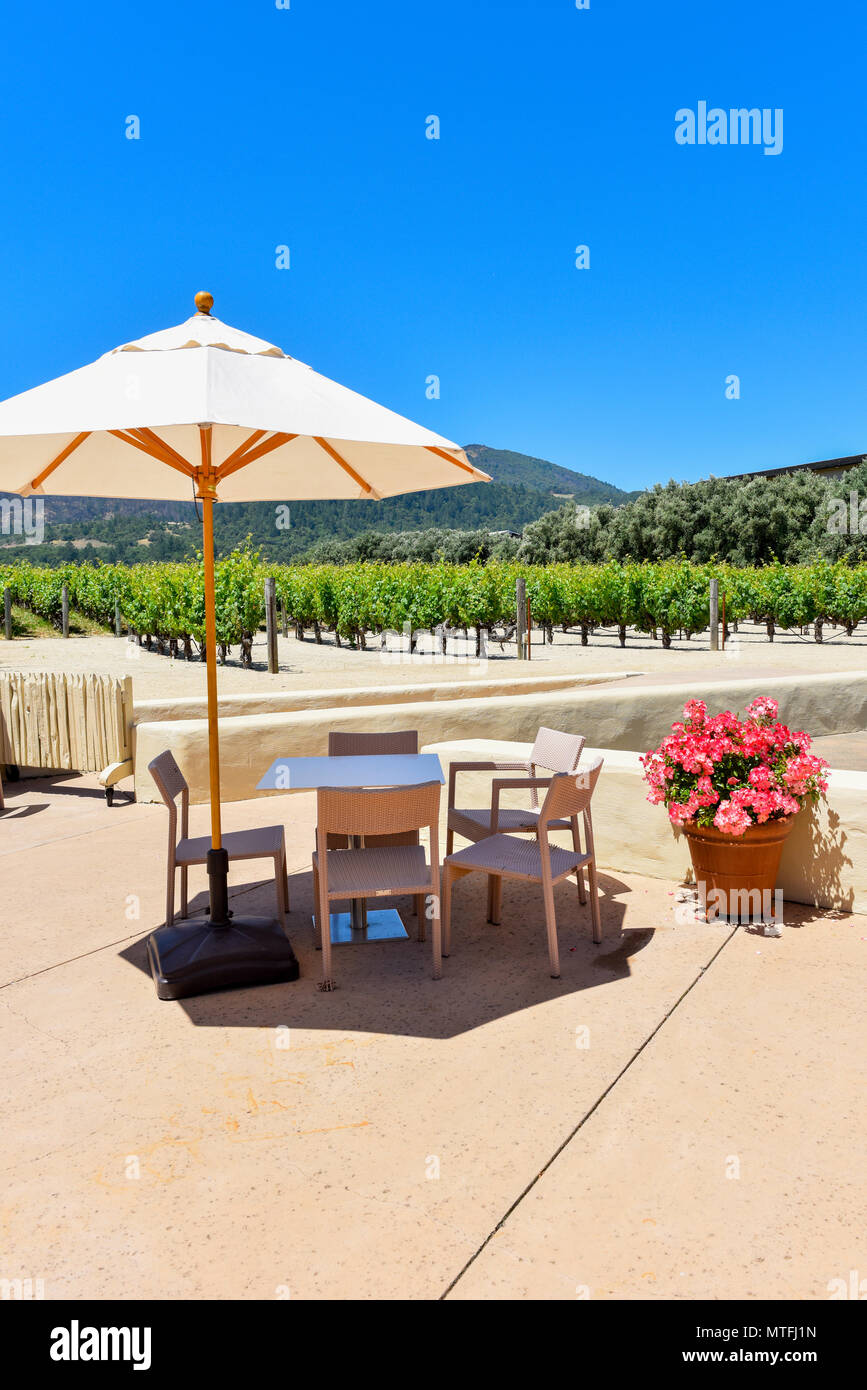 Robert Mondavi Winery Vineyard in Napa, California - 7801 St Helena Hwy, Oakville, CA 94562 Stock Photo