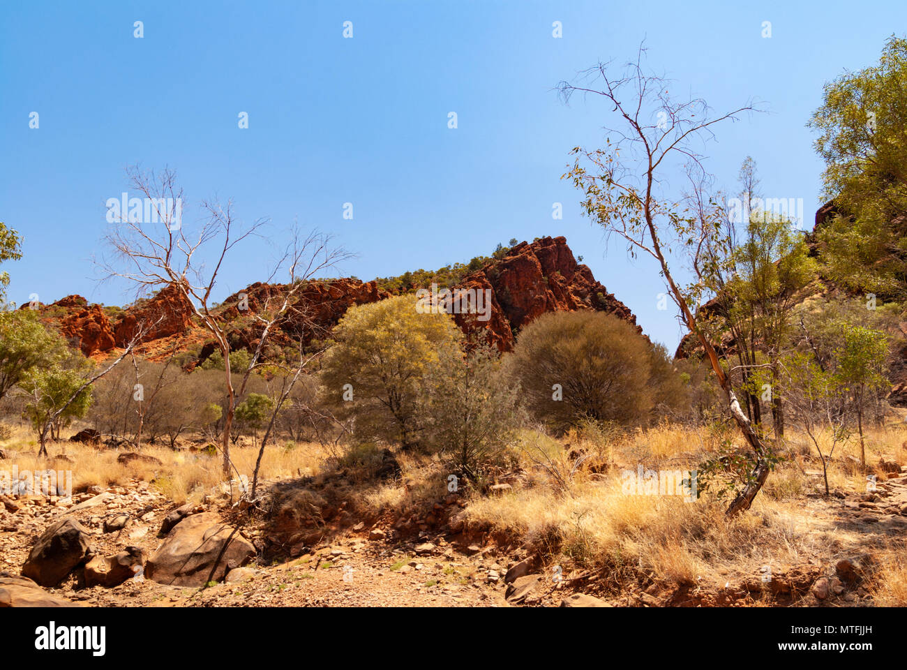 N'Dhala Nature Park in East MacDonnell Ranges near Alice Springs, Northern Territories