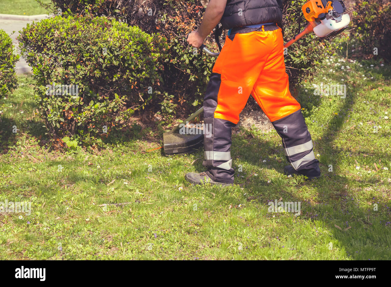 Worker mowing grass with petrol weed trimmer, trimming machine in