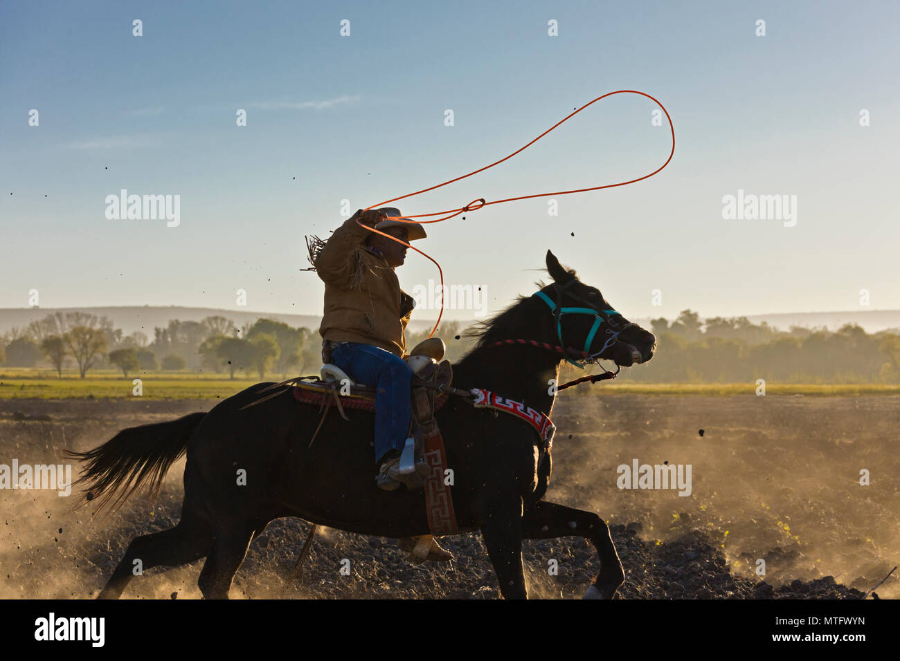 Lasso swinging hi-res stock photography and images - Alamy