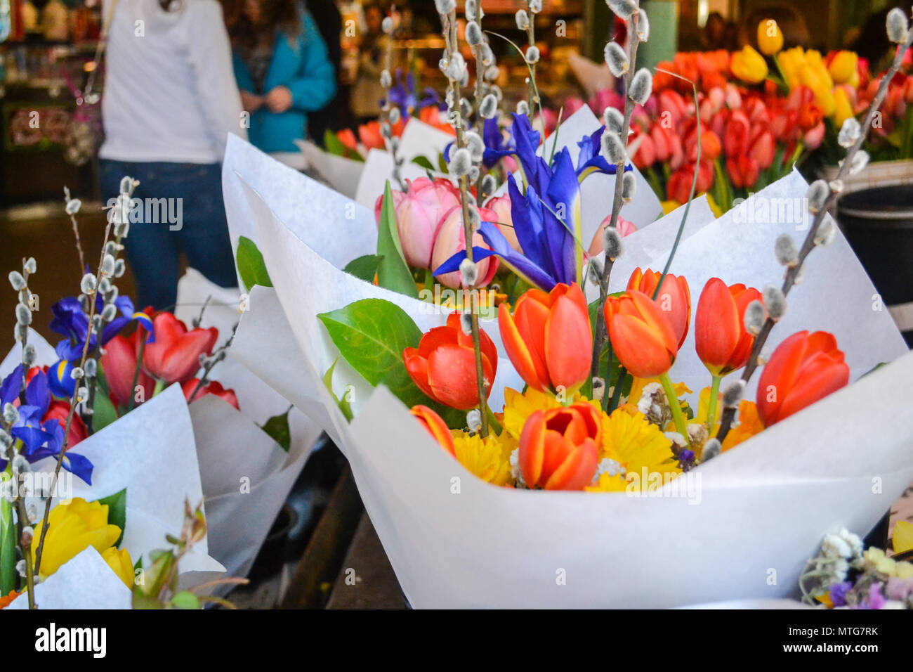 Tulips and Daffodils bloom at the flower market in downtown. Signs of spring, summer, and glorious nature come alive with bunches and bouquets. Stock Photo