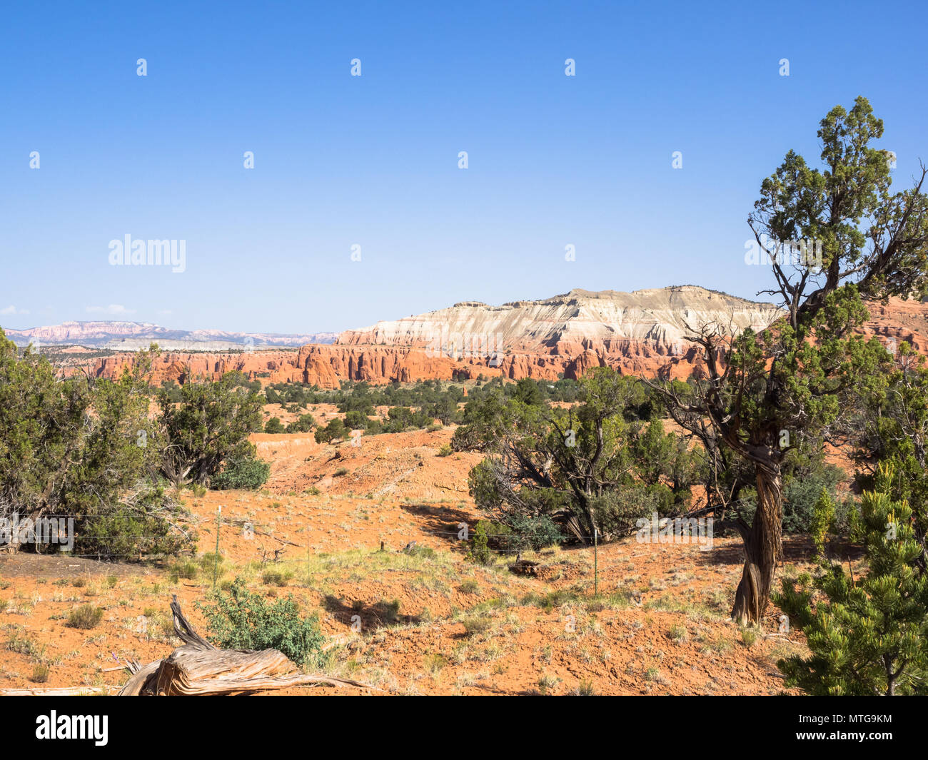 Landscape of Kodachrome Basin National Park, Utah, United States Stock Photo