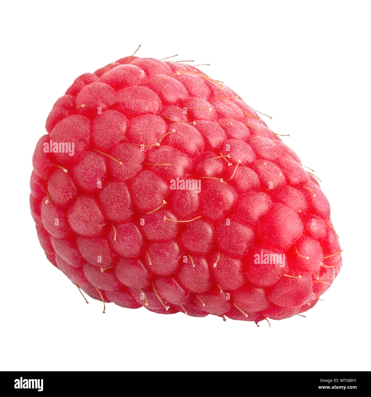 Isolated berries. Whole raspberry fruit isolated on white background ...