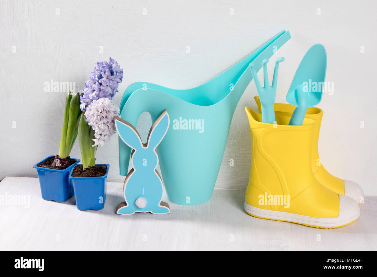 Yellow rubber boots and blue watering can with a bouquet of flowers of white and pink tulips on the white background. Garden accessories. Stock Photo