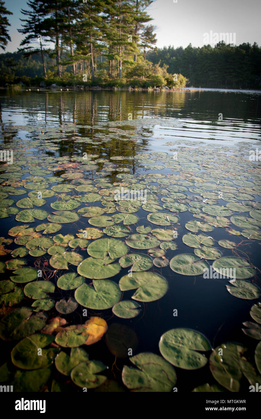 Bangor Maine High Resolution Stock Photography and Images Alamy