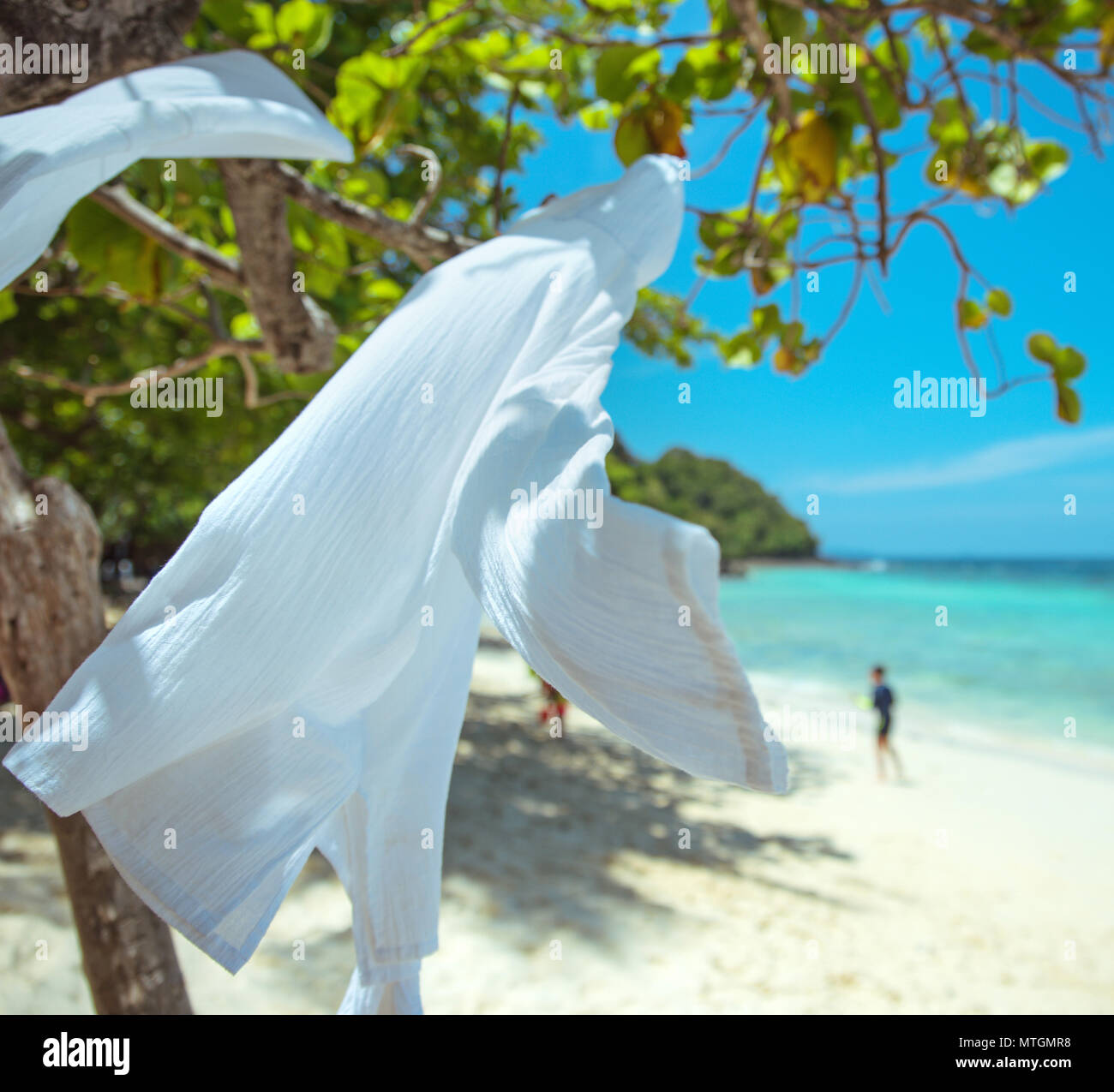 Tropical rainforest seasons hi-res stock photography and images - Alamy