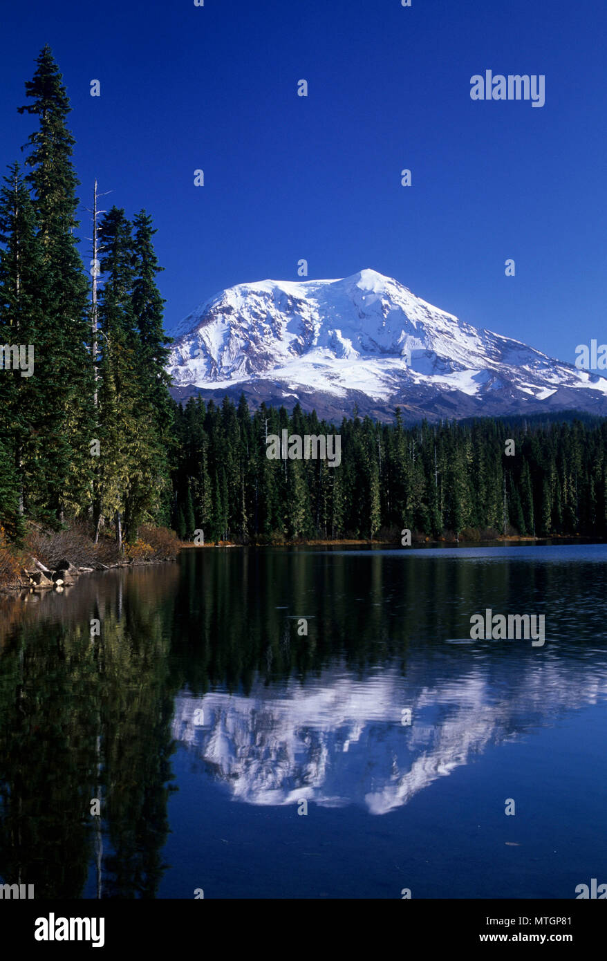 Mt Adams view from Takhlakh Lake, Gifford Pinchot National Forest
