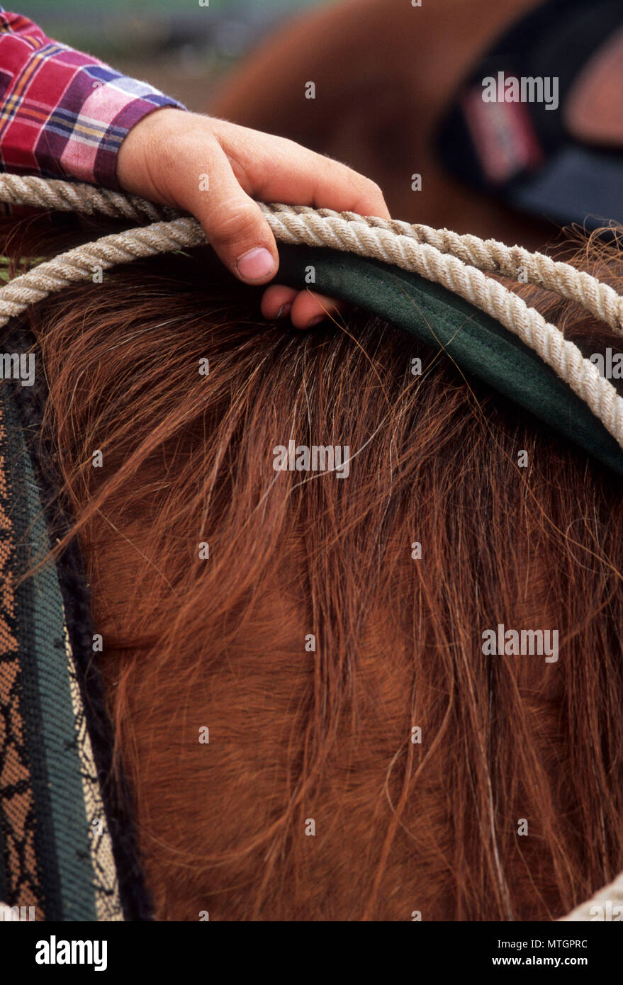 Colfax Jr Rodeo High Resolution Stock Photography and Images Alamy