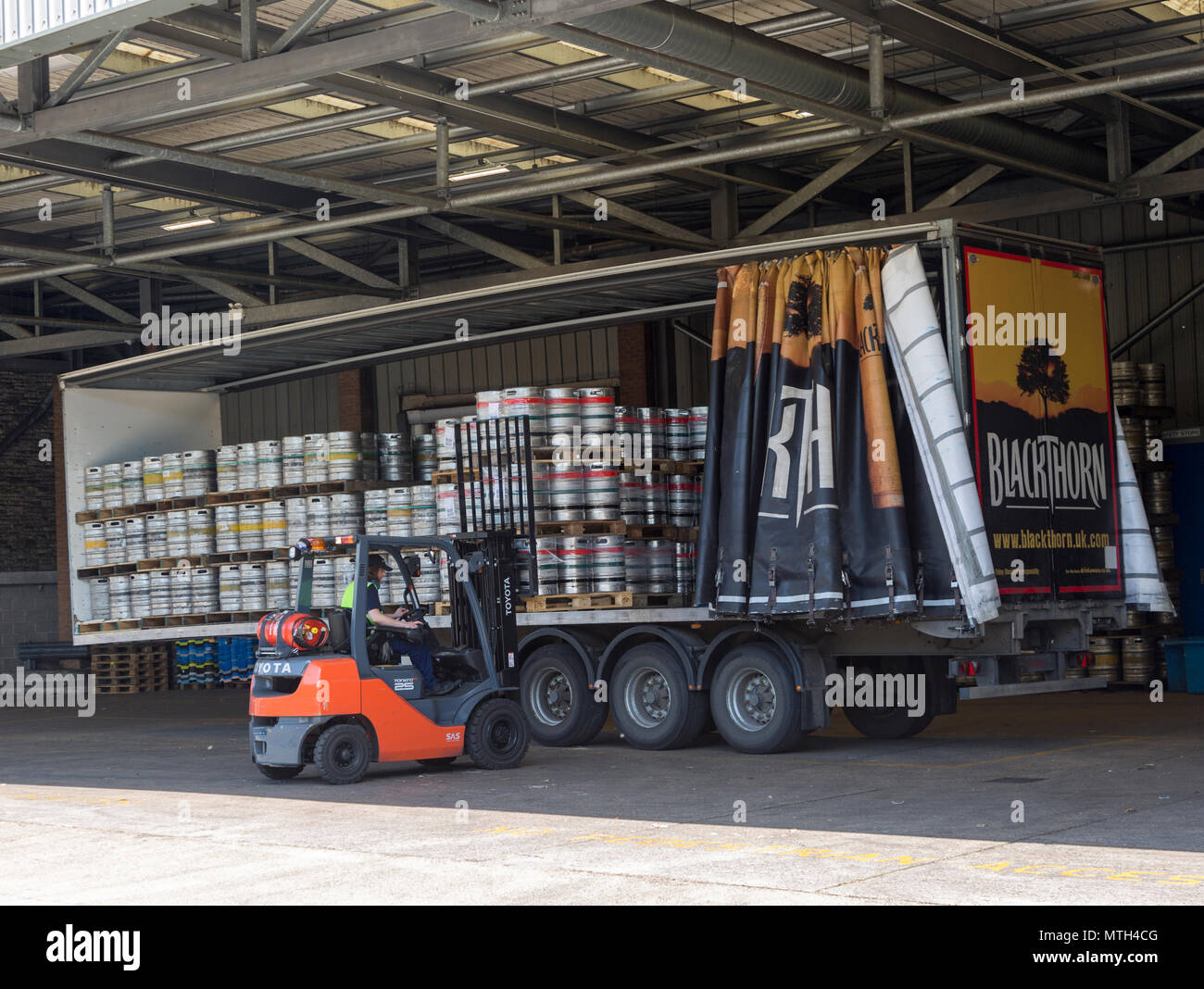 Forklift loading barrels onto trailer, Showerings cider mill, Shepton
