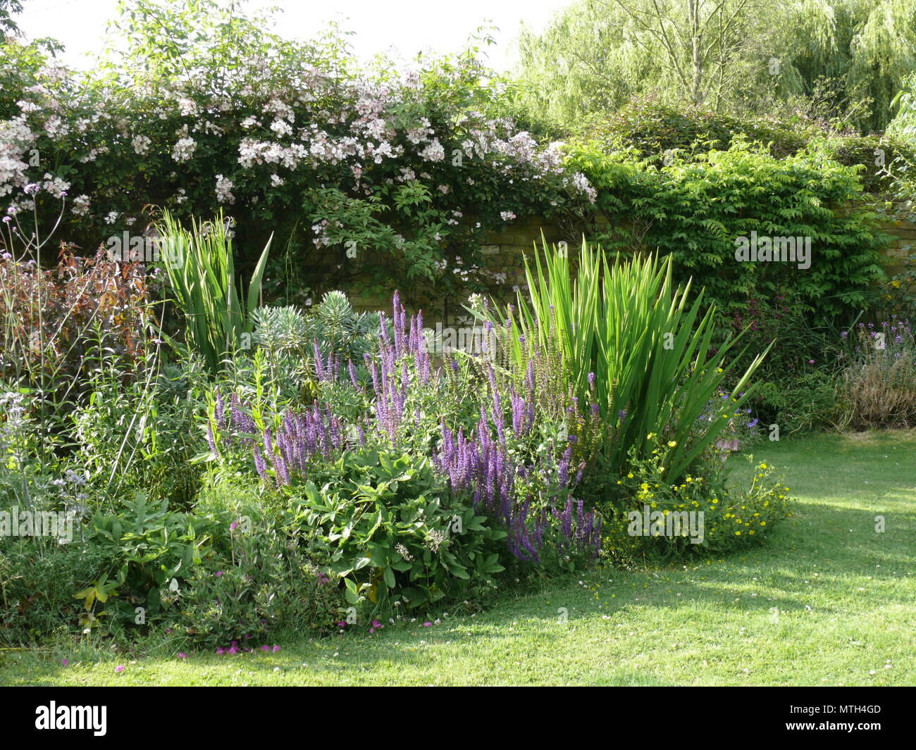 Colourful English country garden, in summer Stock Photo - Alamy