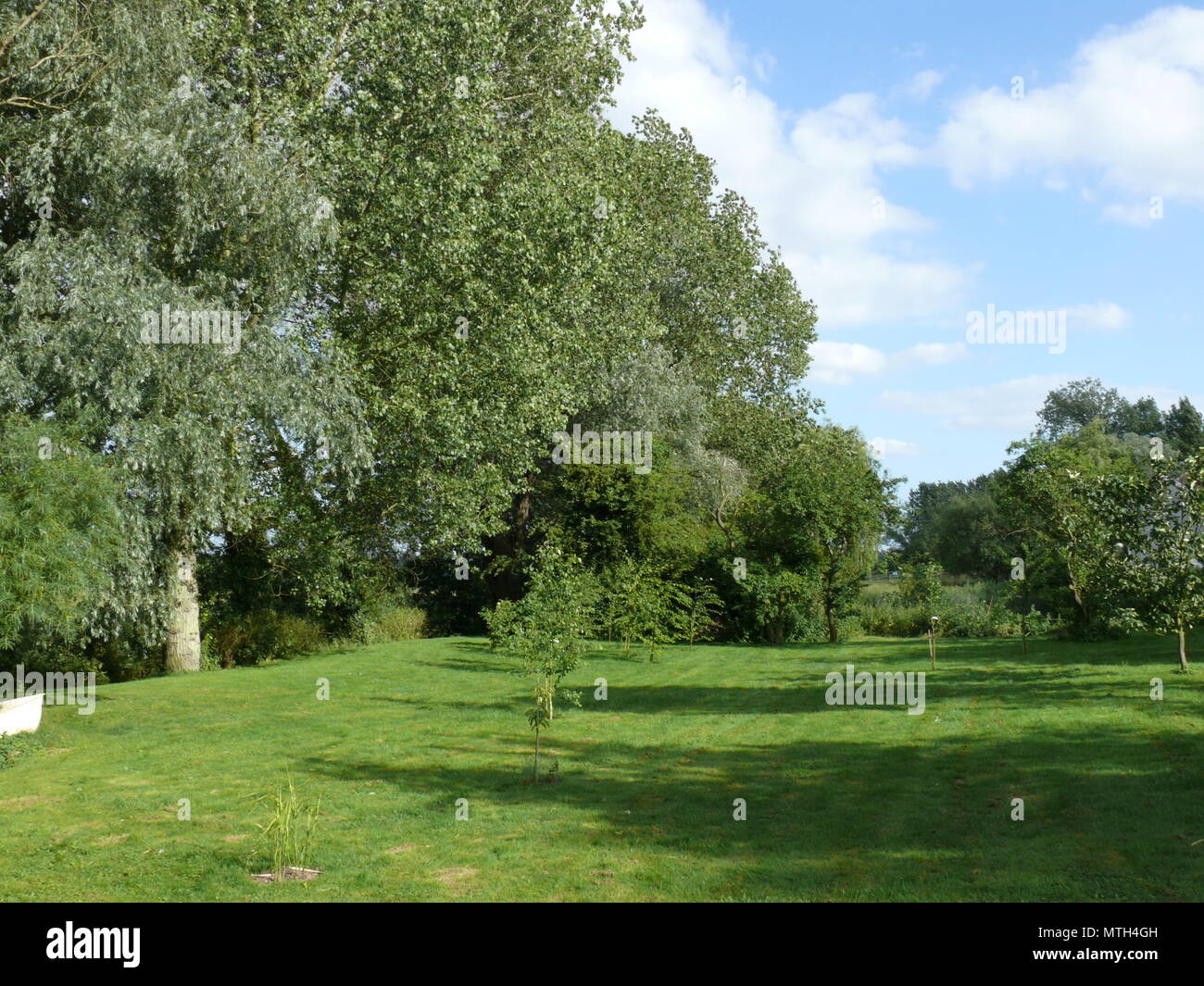 English Summer landscape, with trees Stock Photo
