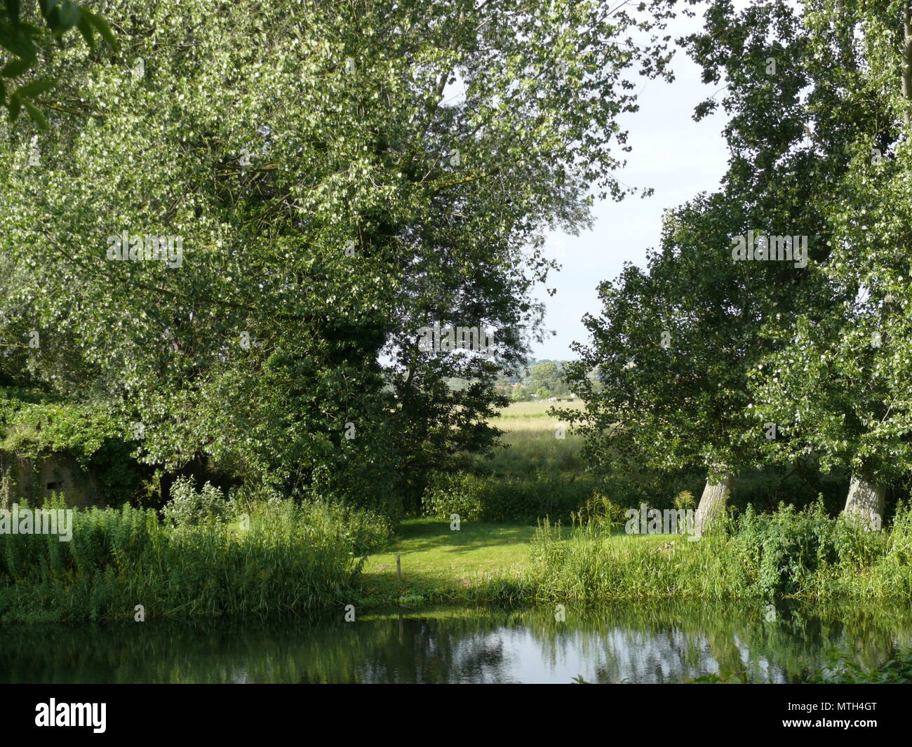 English summer landscape in the countryside Stock Photo