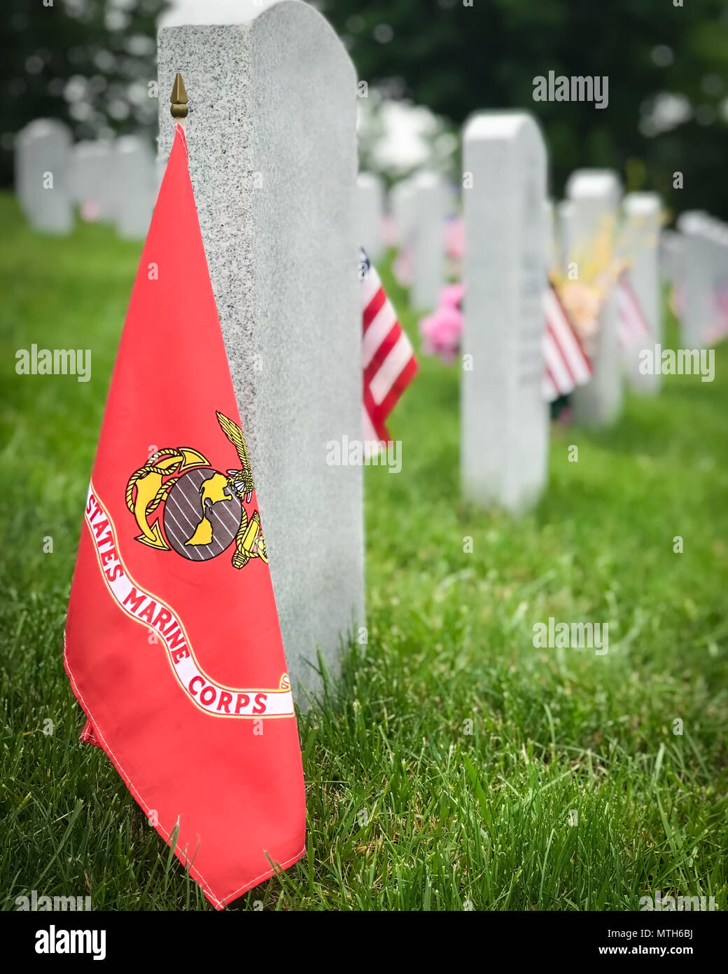 Flagging devotion: 'Flags-in' event prepares Arlington for