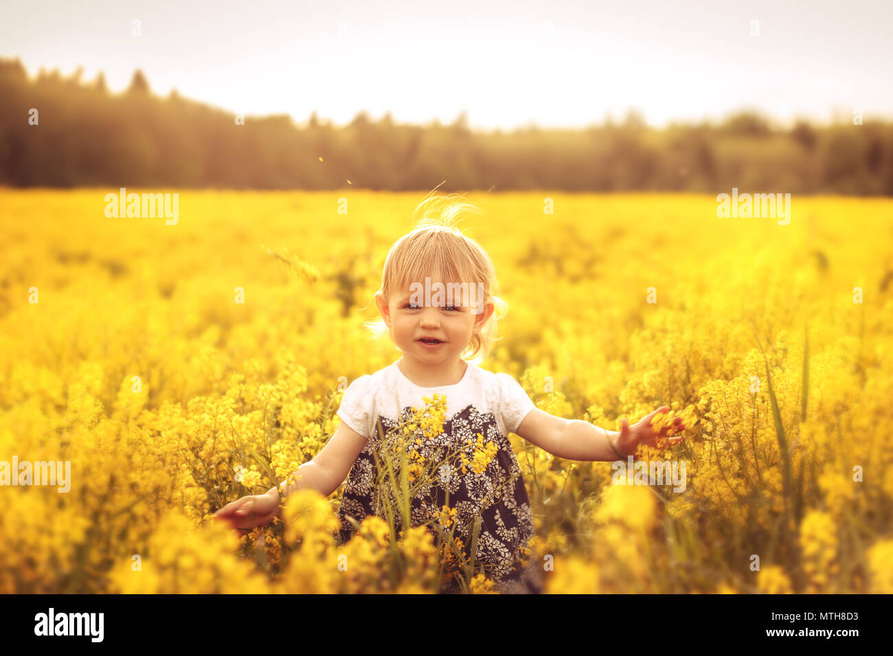 Cute little girl in a field at sunset. The concept of childhood ...