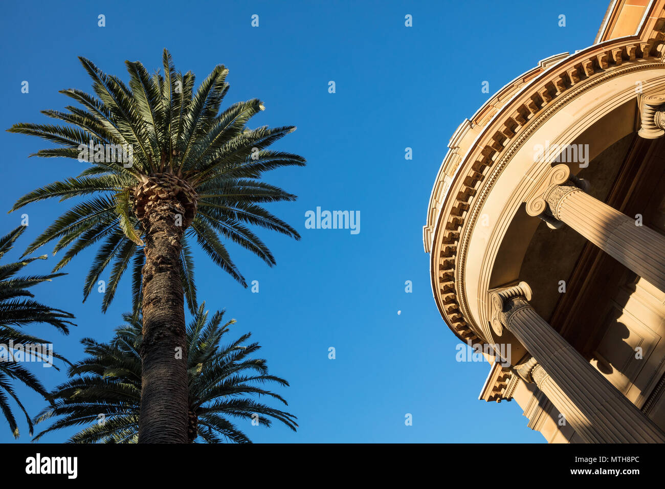 Palm tree, moon and building in Sydney, New South Wales, Australia Stock Photo