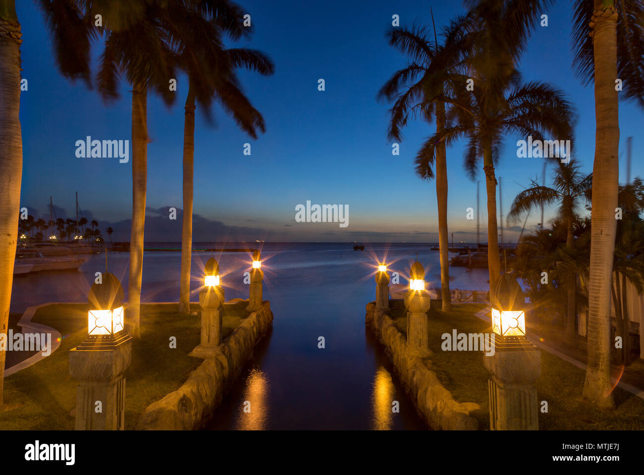 Twilight over palm trees at entrance to canal in Oranjestad, Aruba, Netherlands Antilles Stock Photo